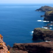 Madeira2008 CRW 4823 - Arbeitskopie 2 : portugal, madeira