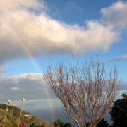 Madeira2008 CRW 5142 - Arbeitskopie 2 : madeira, portugal