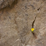 CRW 4201 : Crete, Greece, Griechenland, Holiday, Kreta, Urlaub