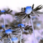 DSCN0102 BestOf umgekehrt